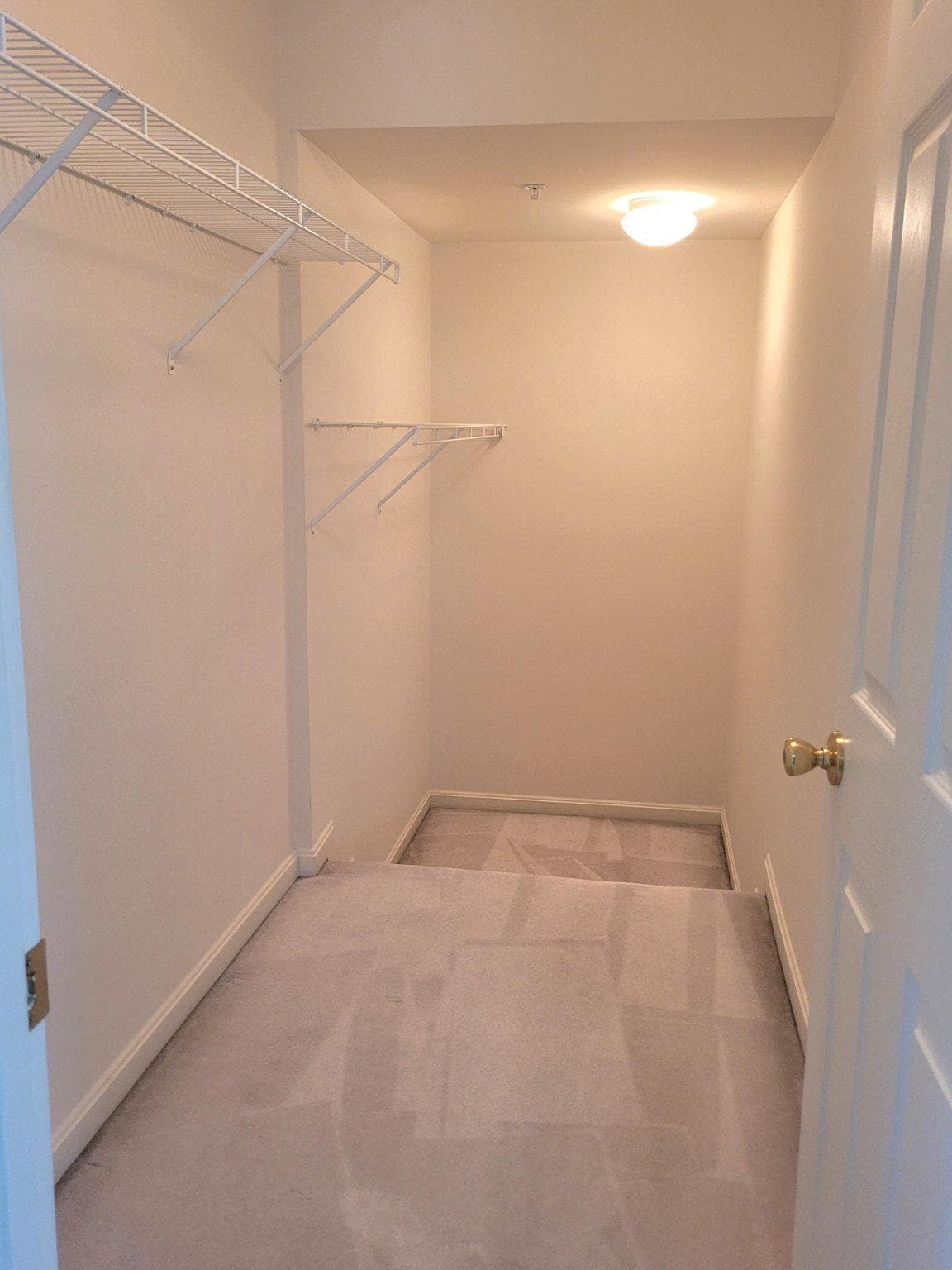 1202 Strausberg Street photo 30
