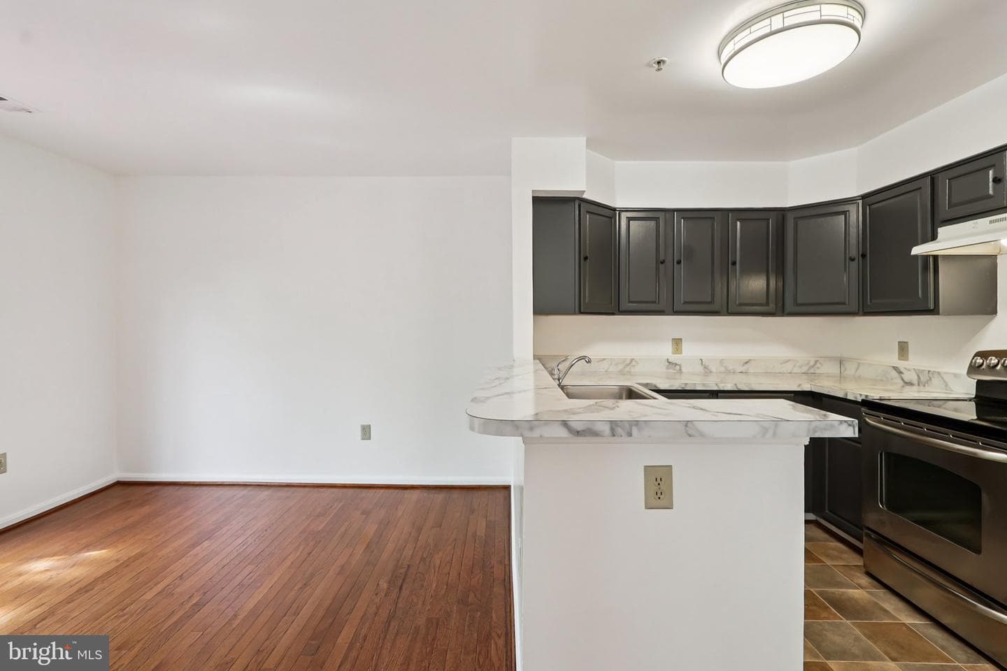 3723 Pogonia Court photo 17