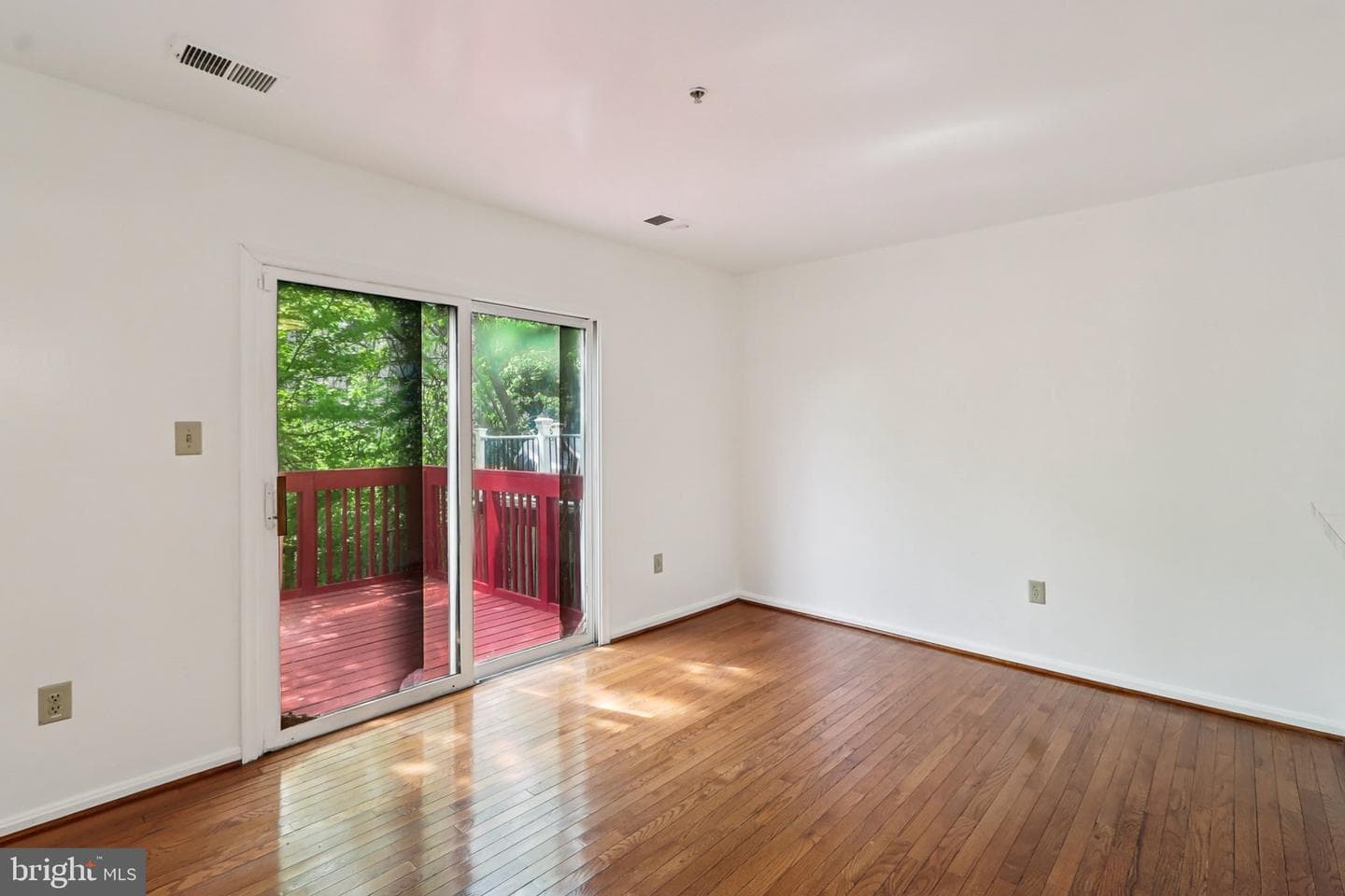 3723 Pogonia Court photo 18