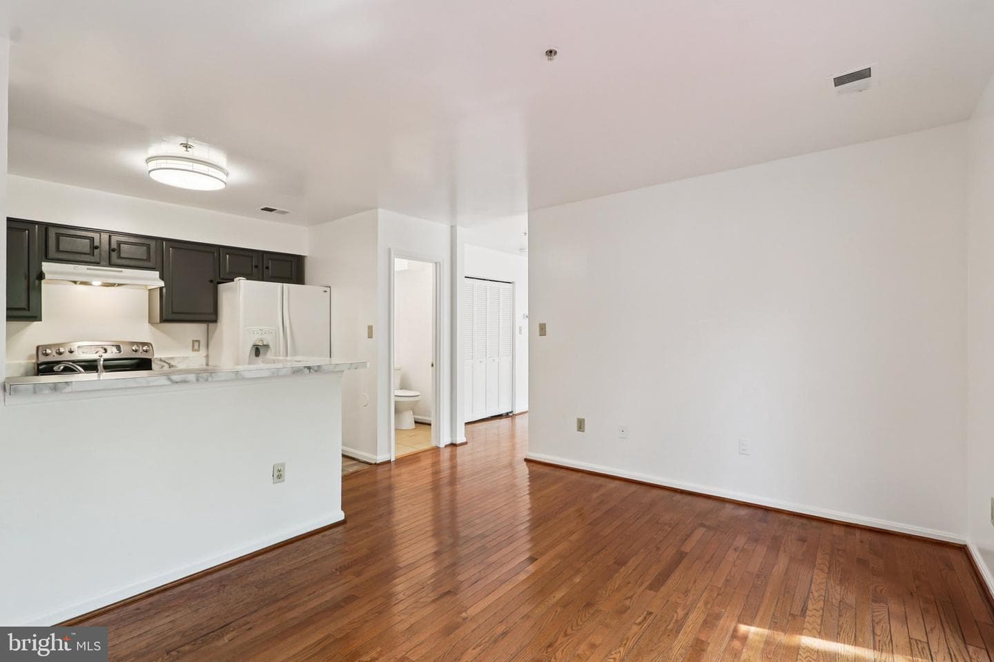 3723 Pogonia Court photo 28