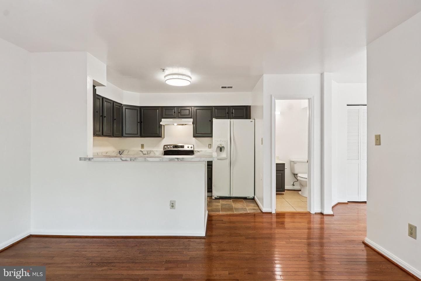 3723 Pogonia Court photo 29