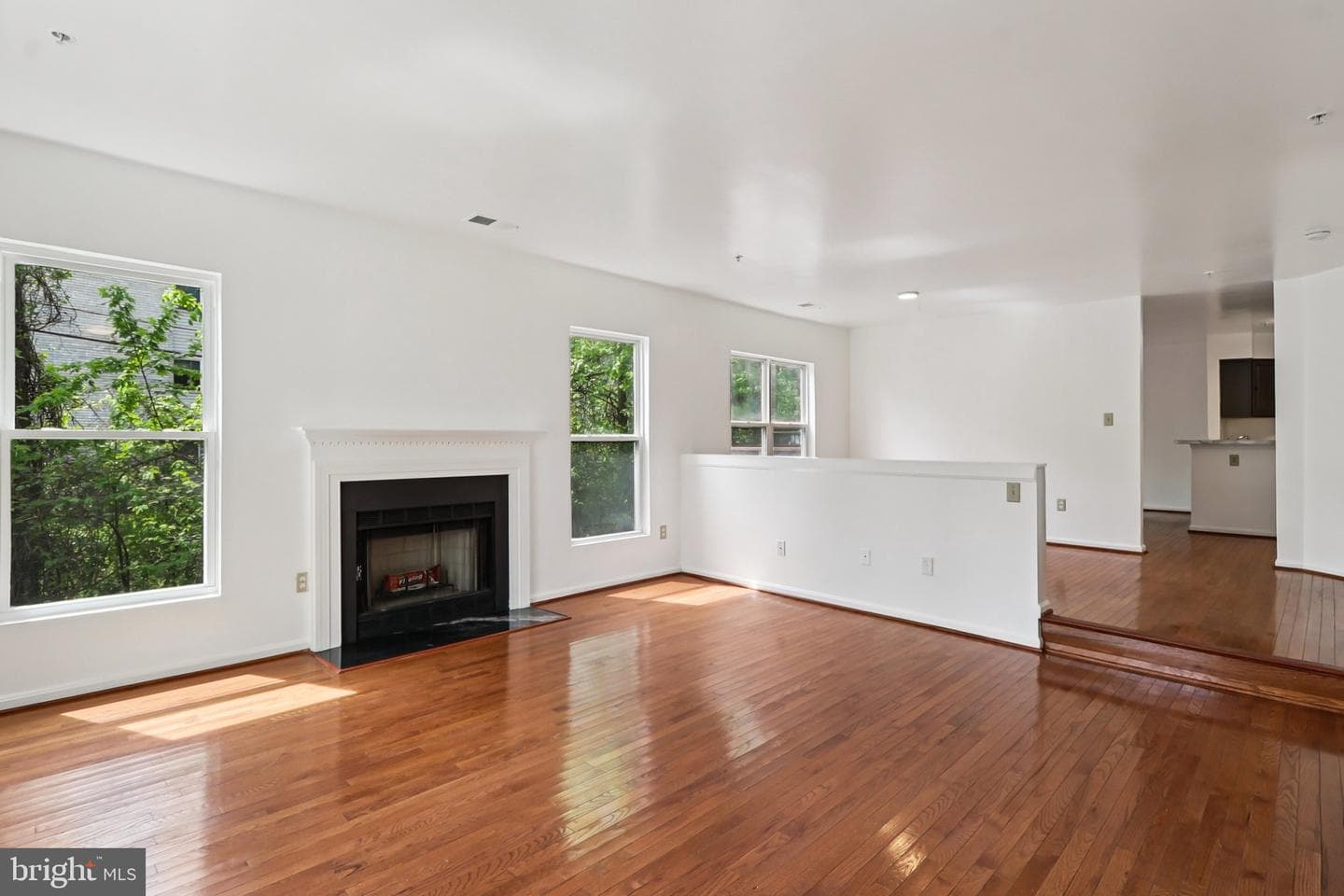 3723 Pogonia Court photo 4
