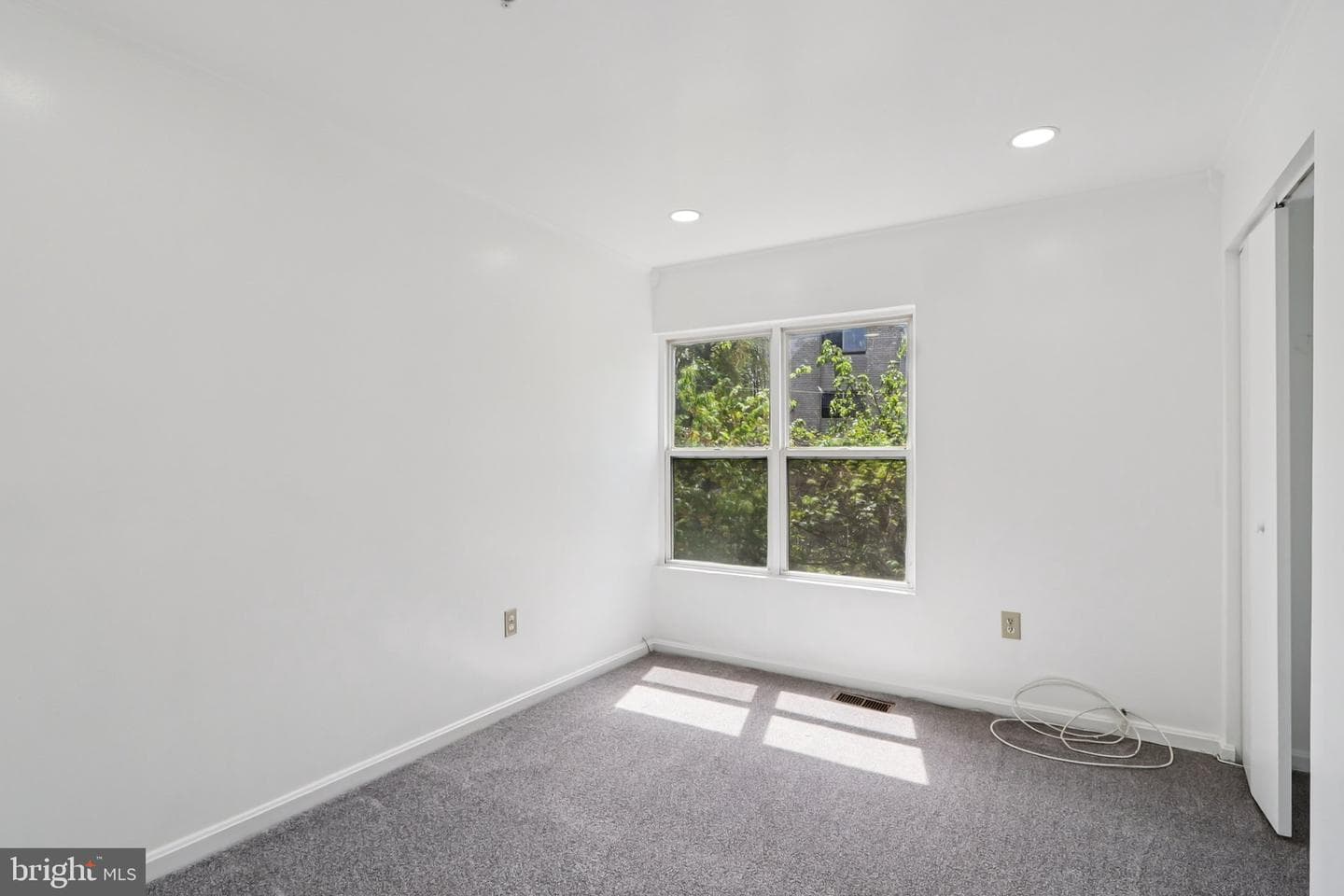 3723 Pogonia Court photo 41