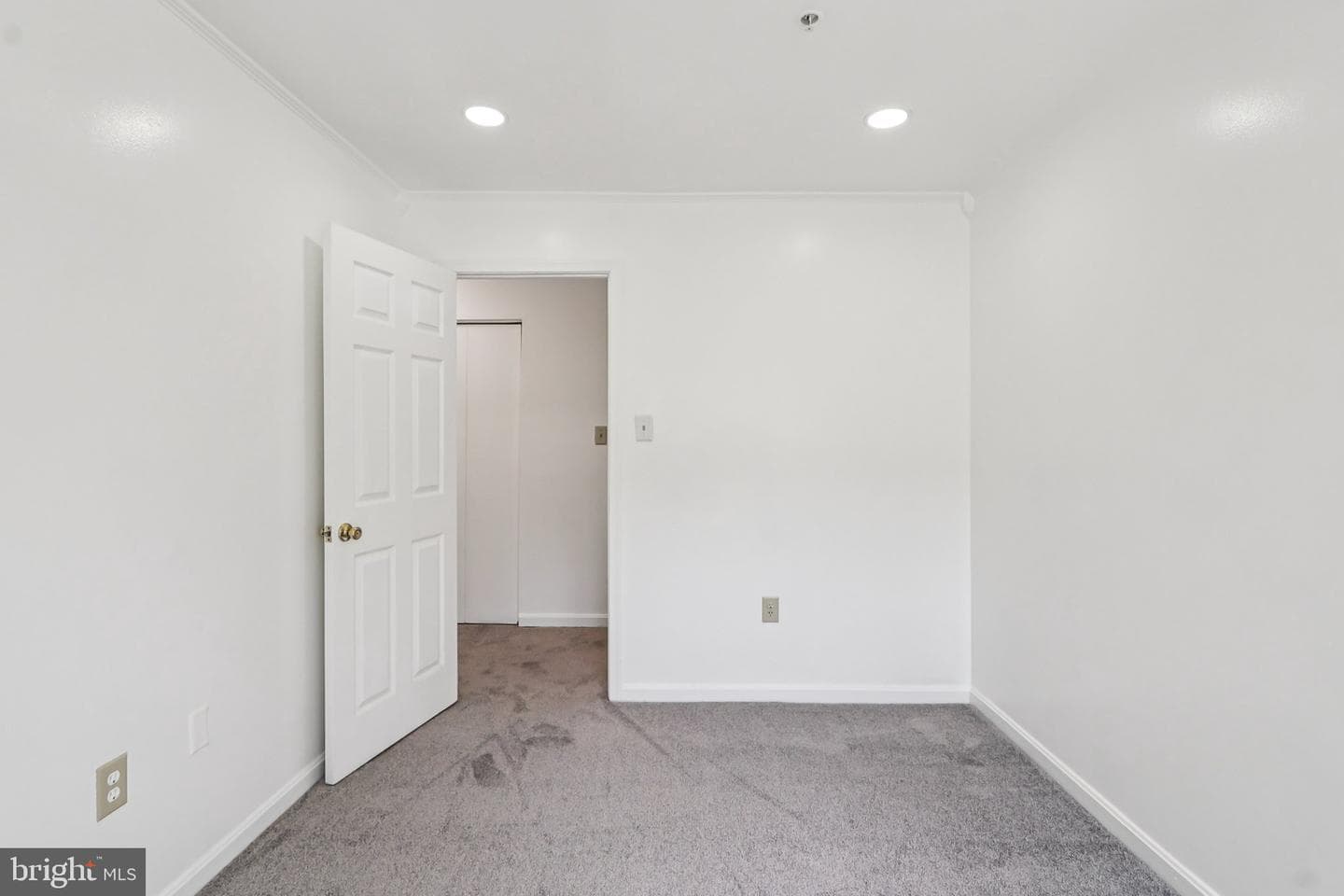3723 Pogonia Court photo 43