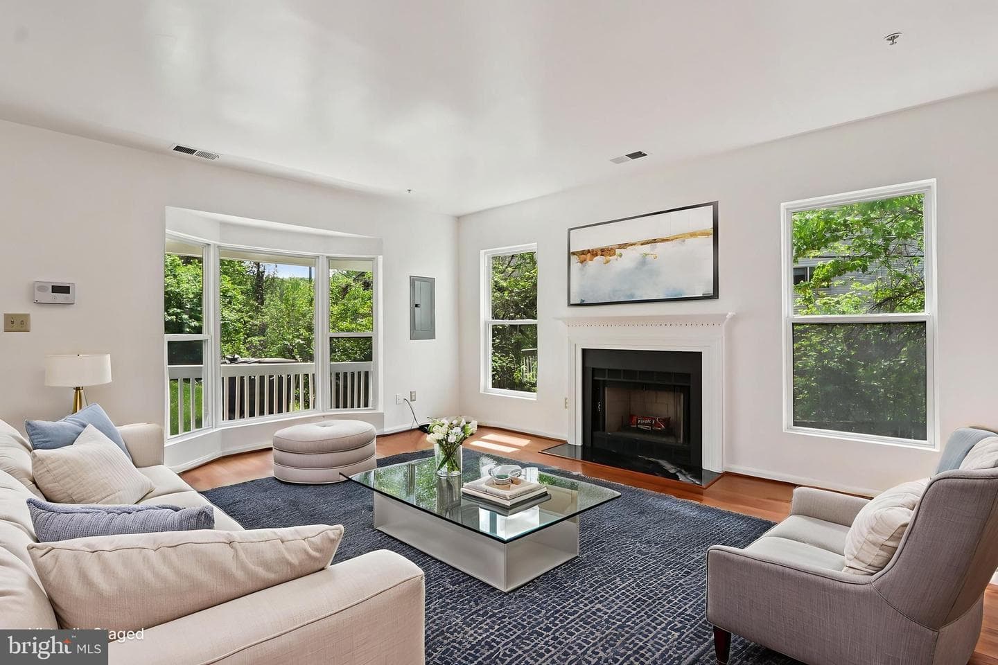 3723 Pogonia Court photo 8