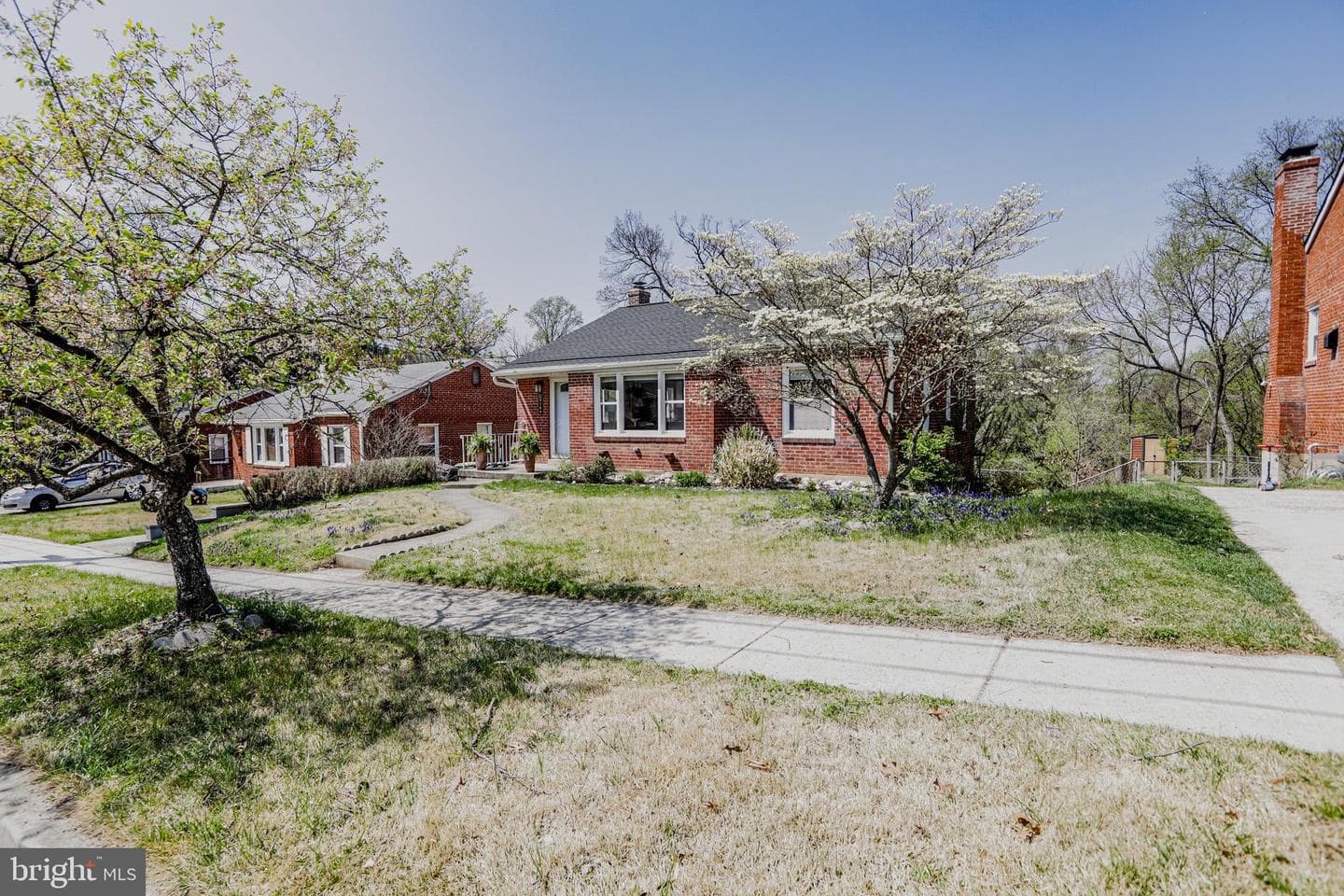 3104 Gumwood Drive photo 39