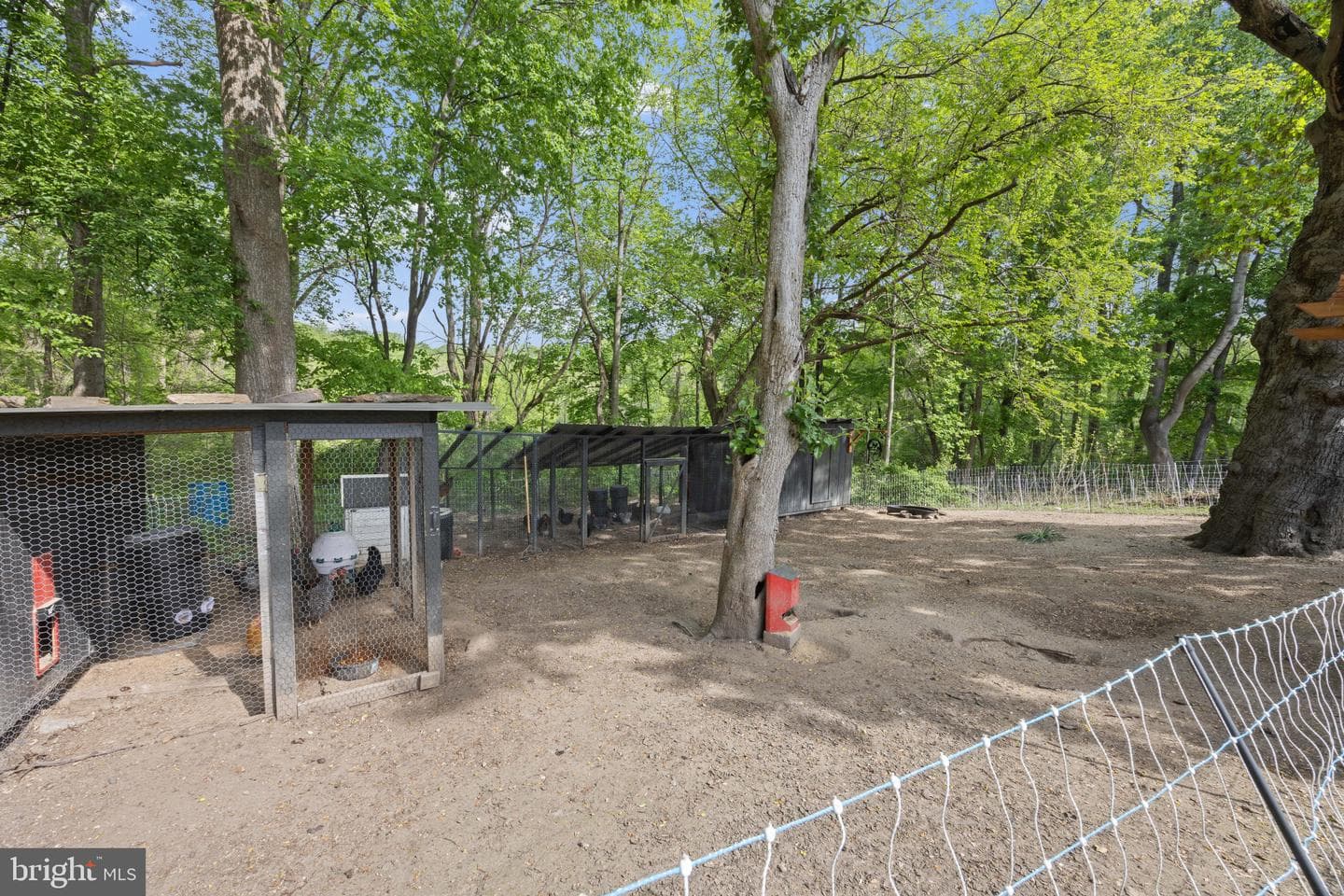 14401 Windy Oak Circle photo 34
