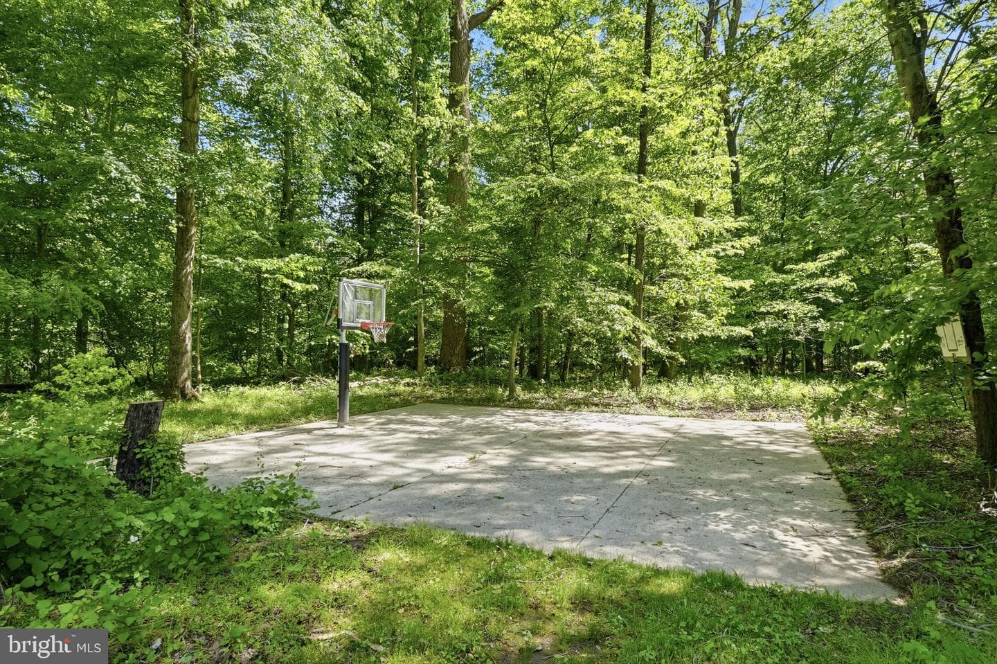 1801 Southwood Court photo 70