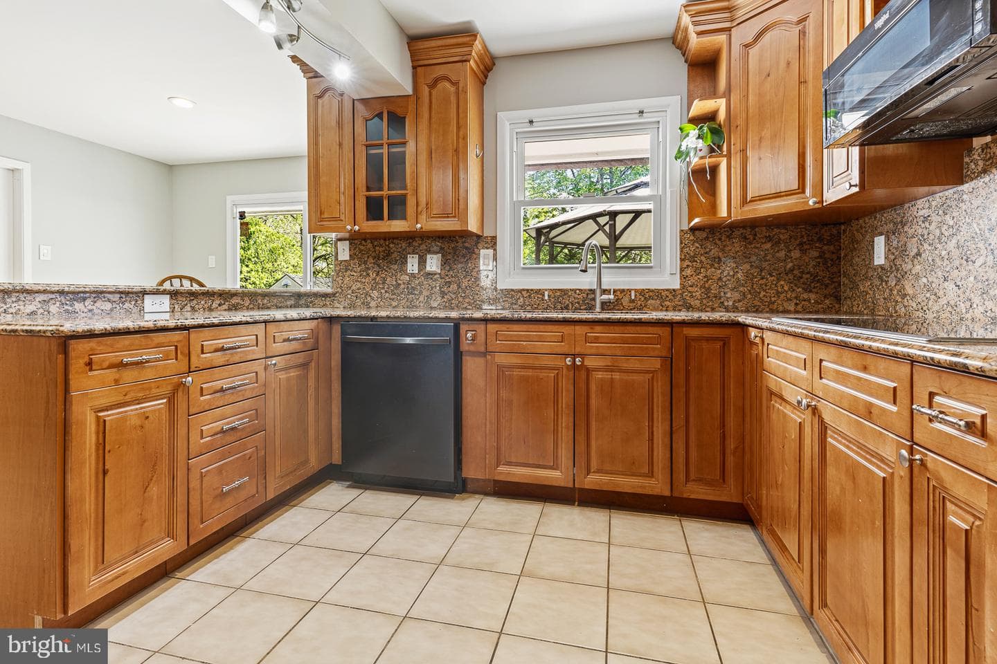 12229 Shadetree Lane photo 12