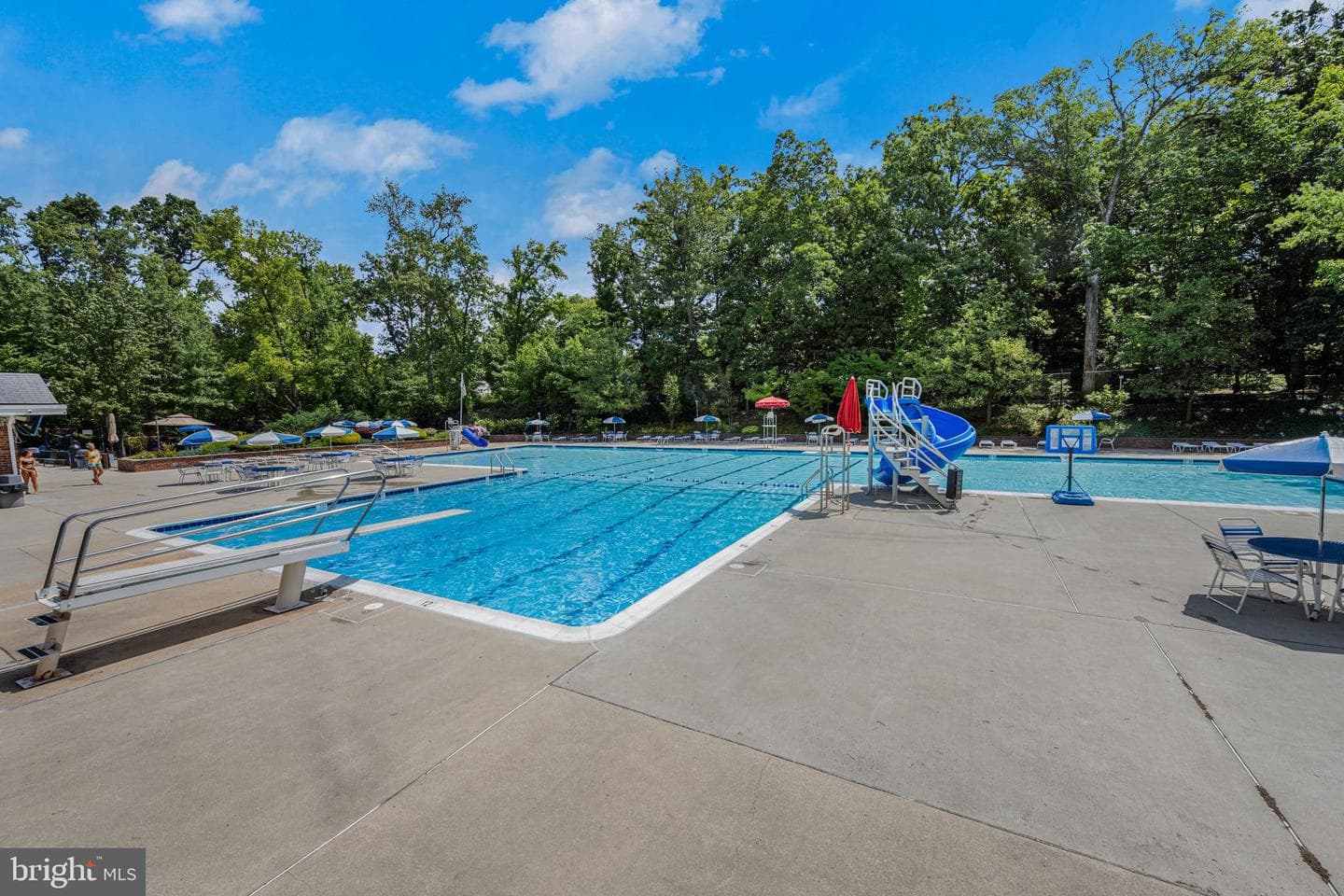 12229 Shadetree Lane photo 30
