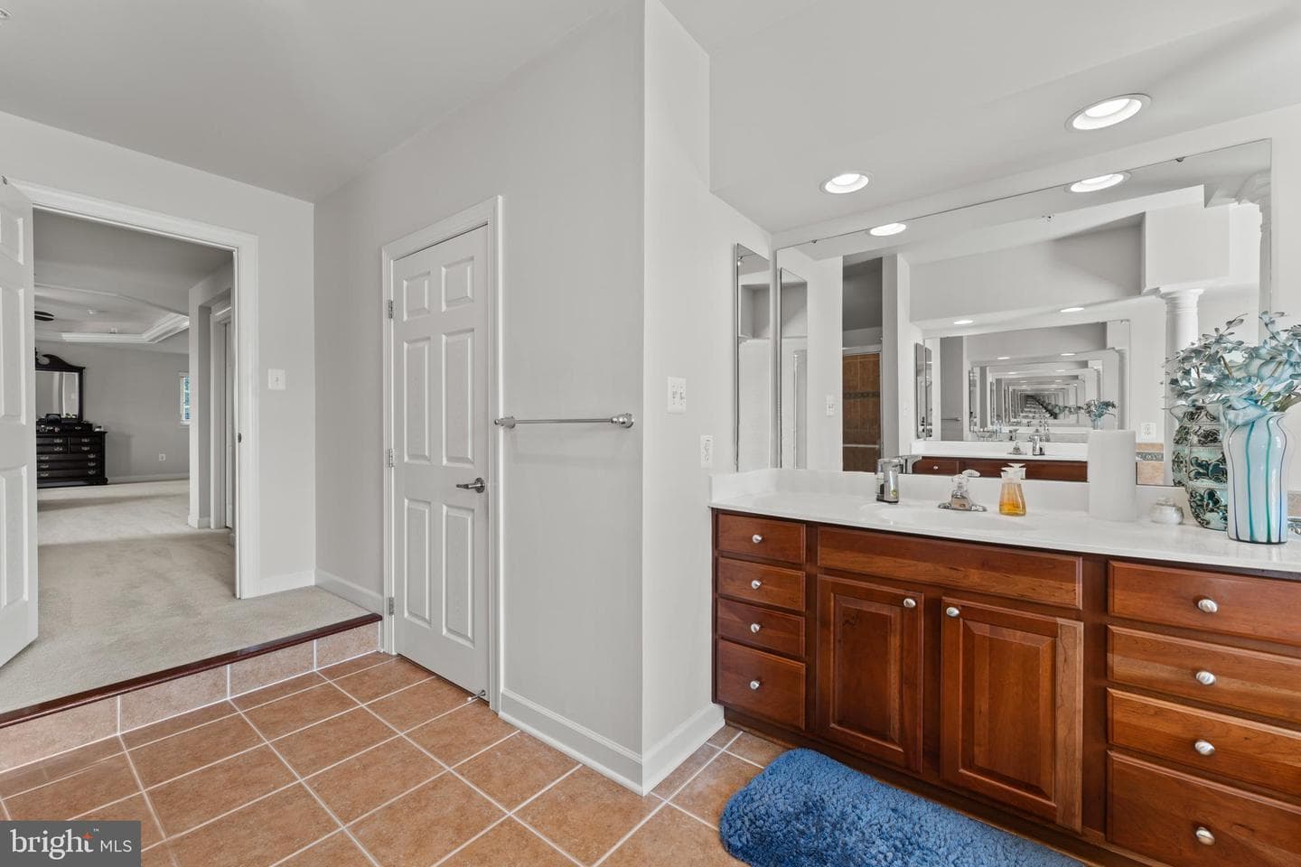 10916 Sir Paul Place photo 42