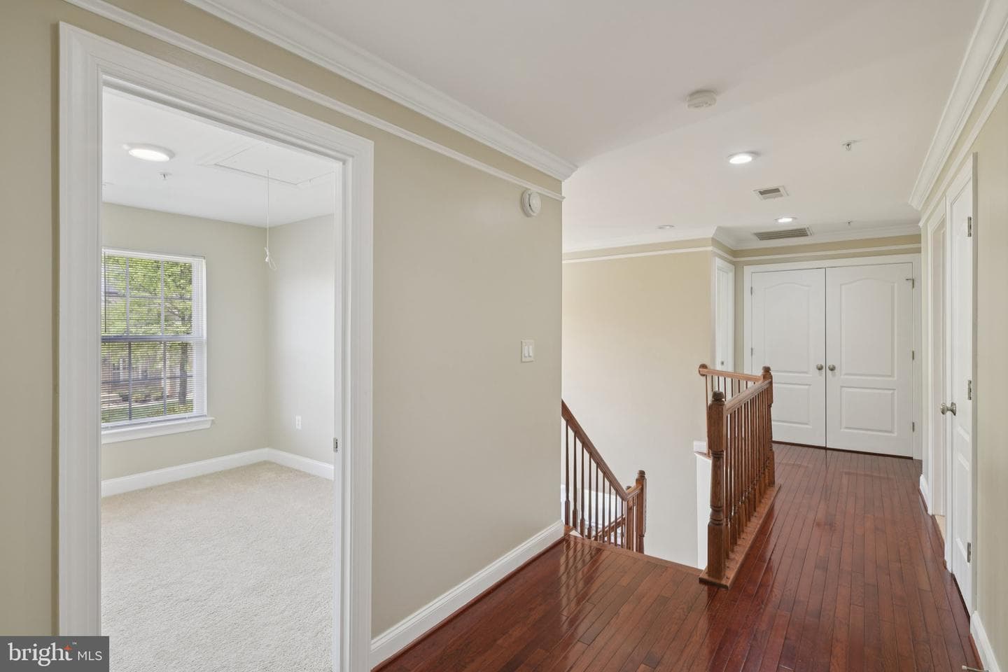 11603 Brigit Court photo 20