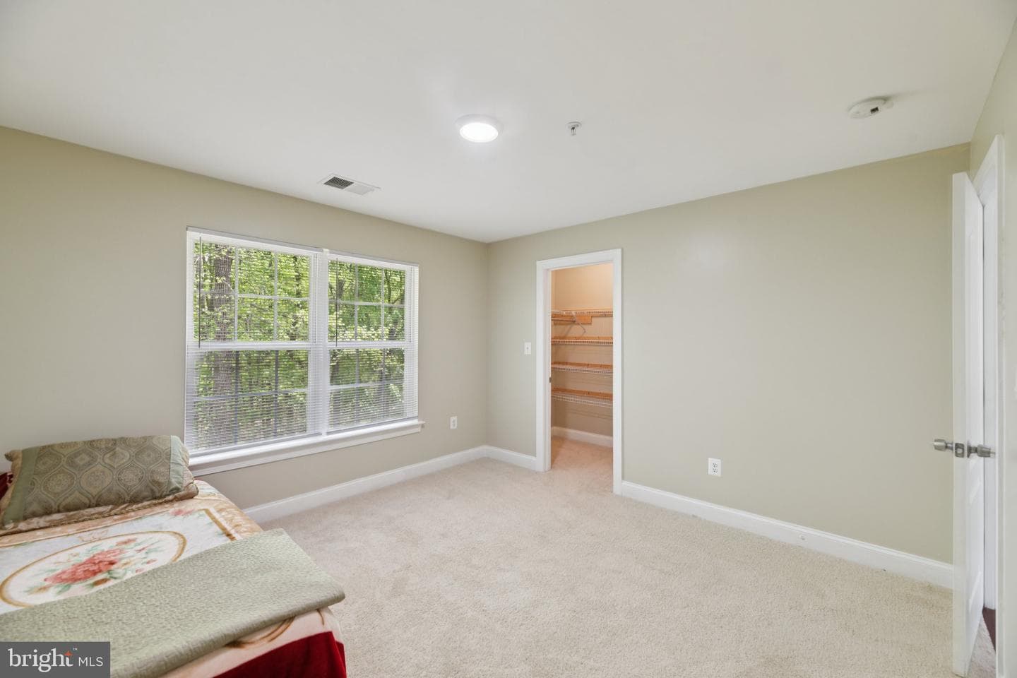 11603 Brigit Court photo 23