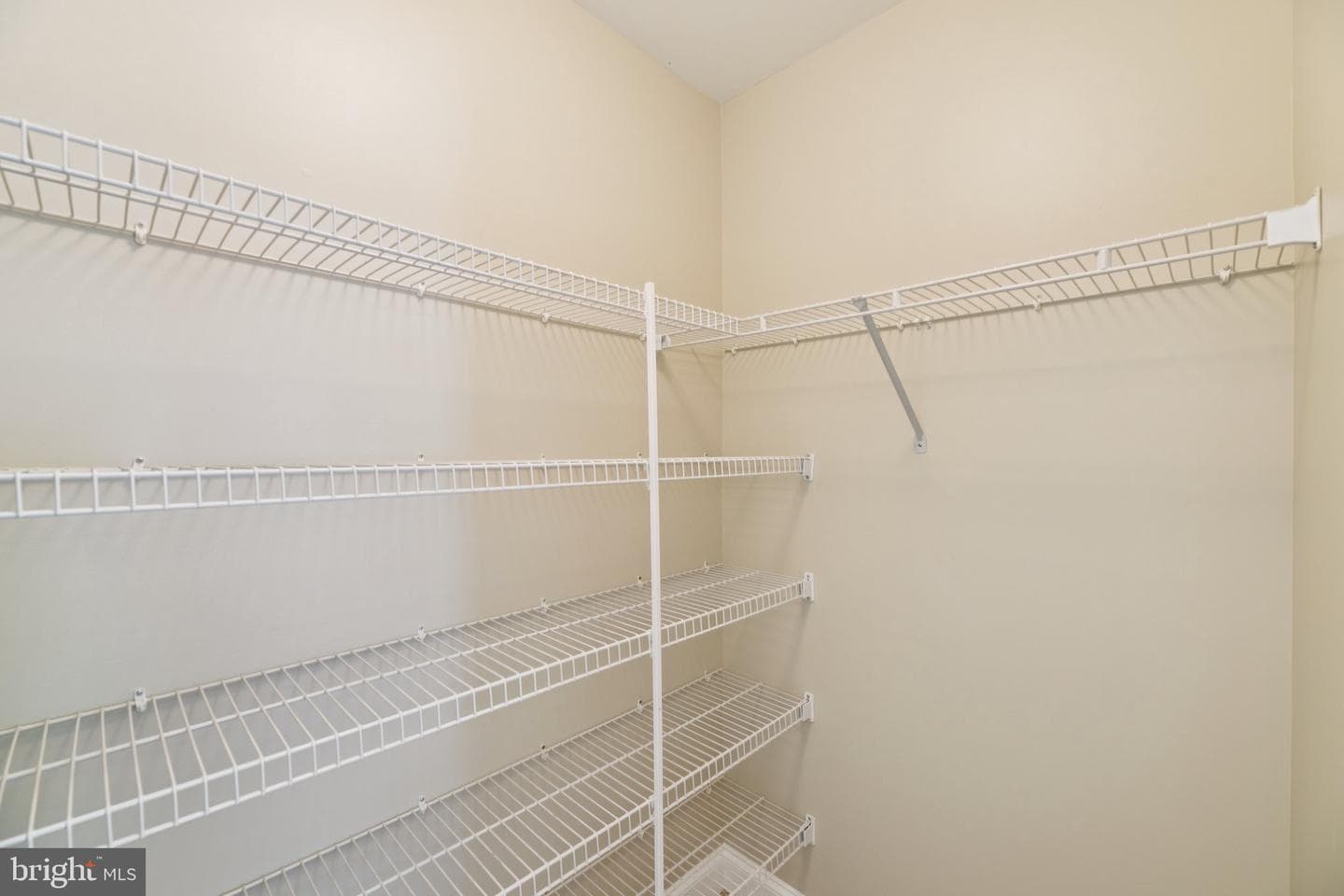 11603 Brigit Court photo 52