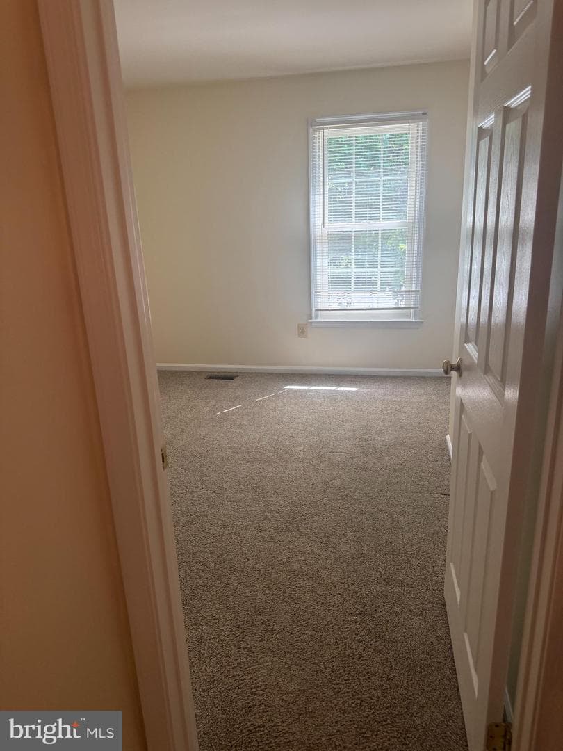 5404 Lakevale Terrace photo 74