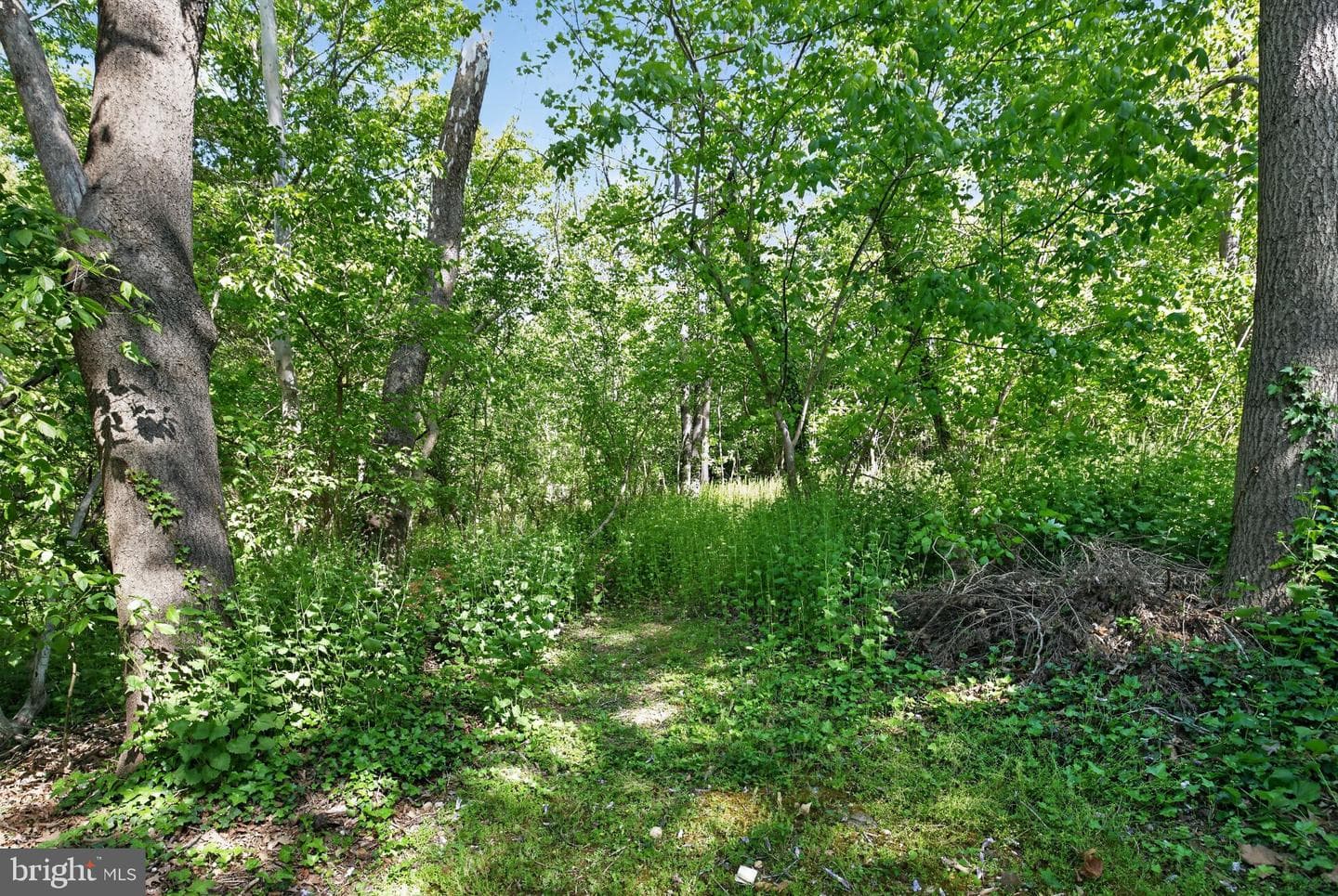 14004 S Springfield Road photo 49