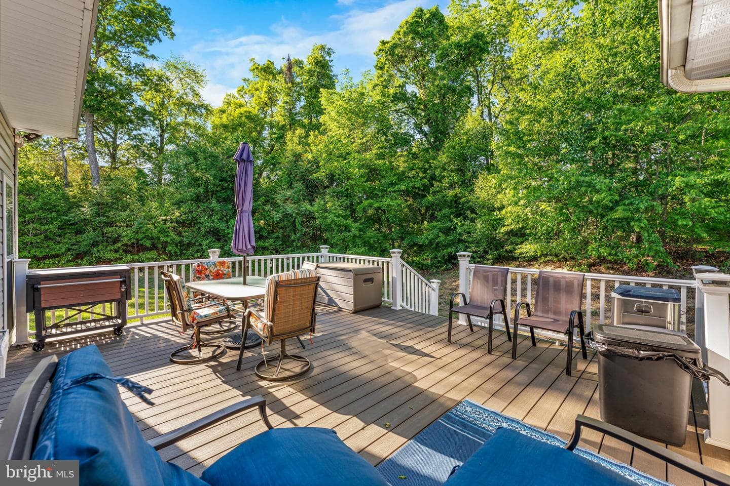 12206 Hillantrae Drive photo 45