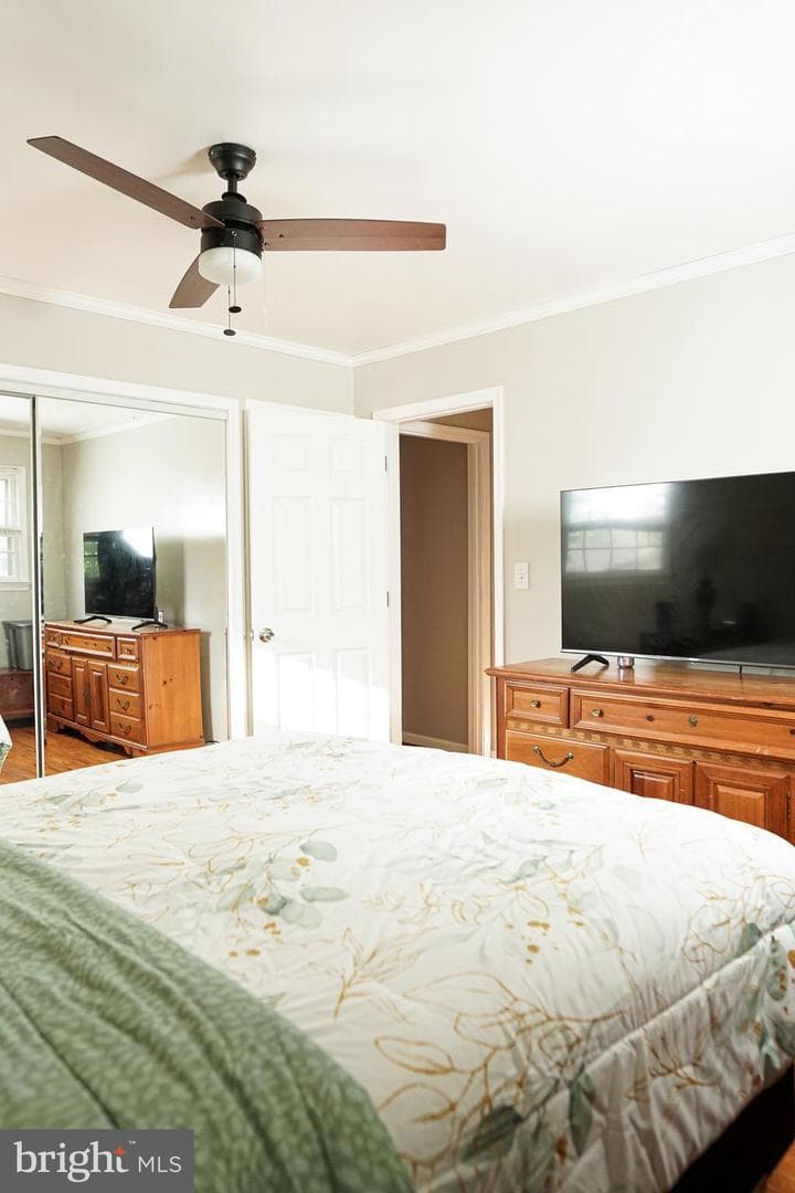 7901 Anne Court photo 27
