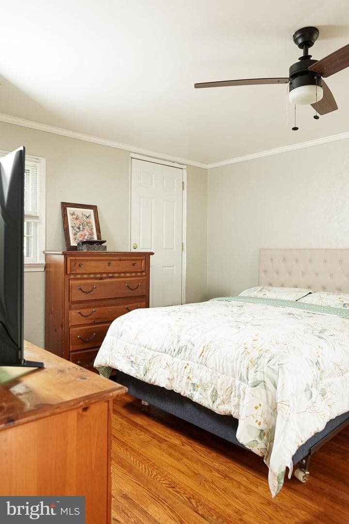 7901 Anne Court photo 29