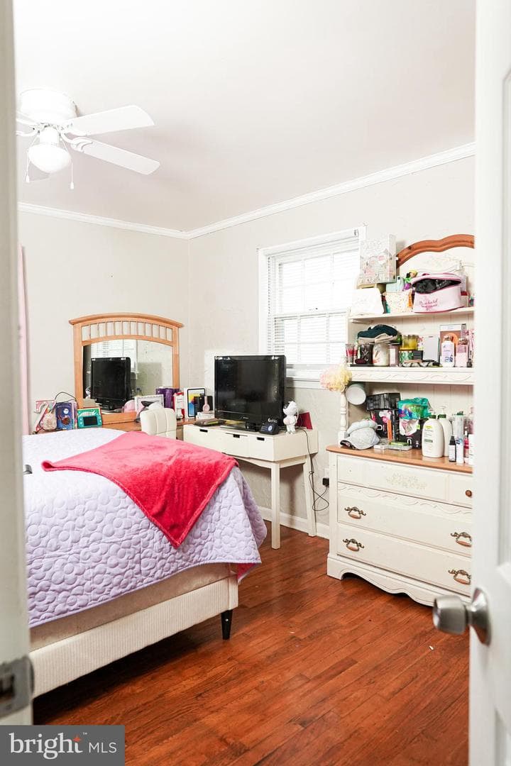 7901 Anne Court photo 32