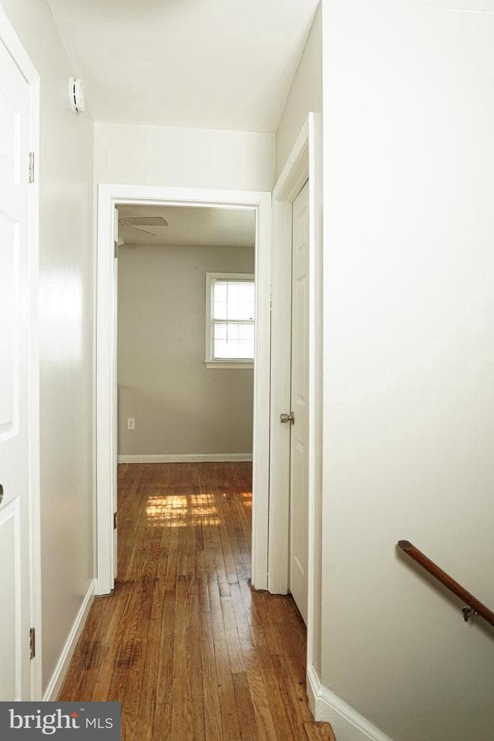 7901 Anne Court photo 39