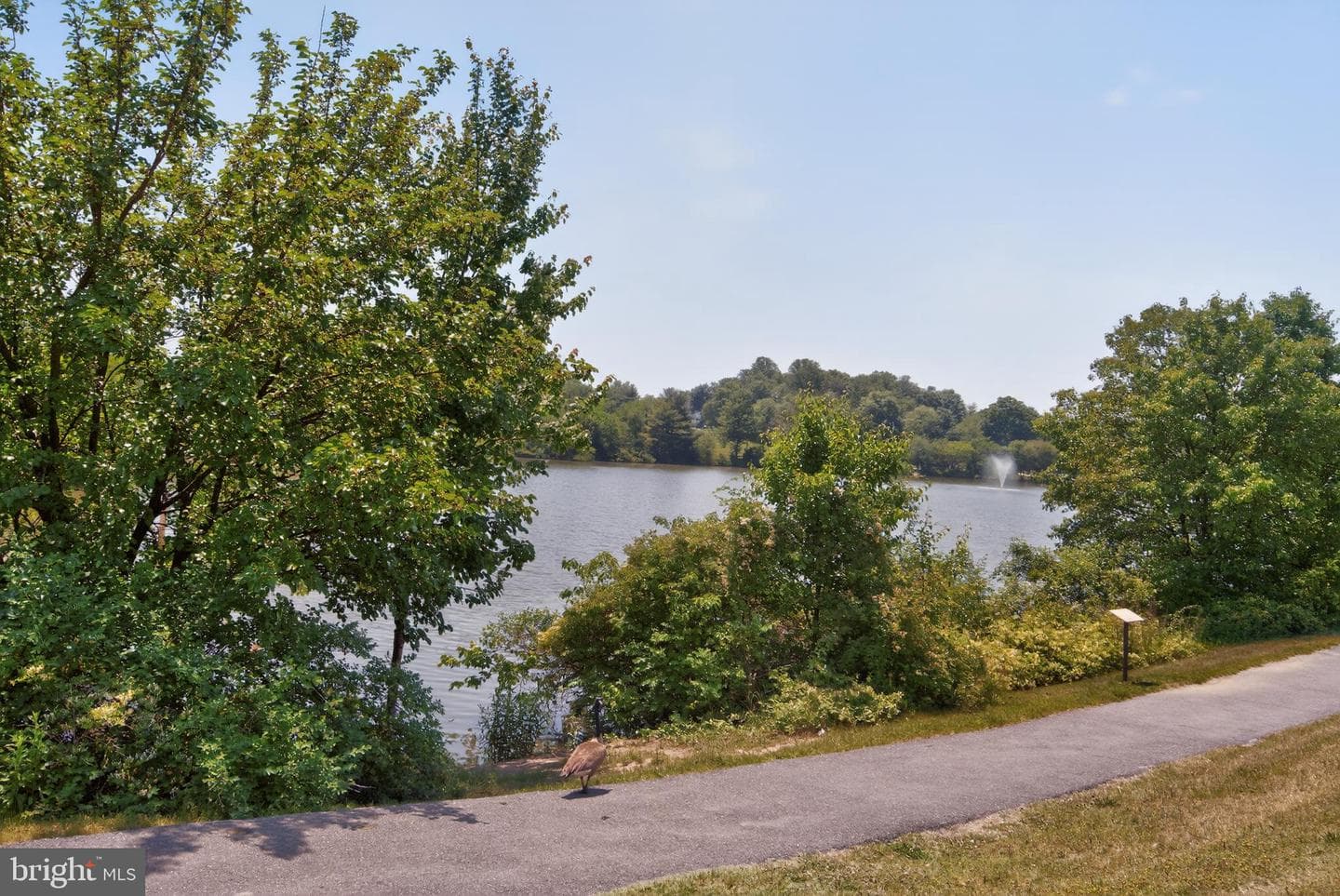 7817 Aylesford Lane photo 43