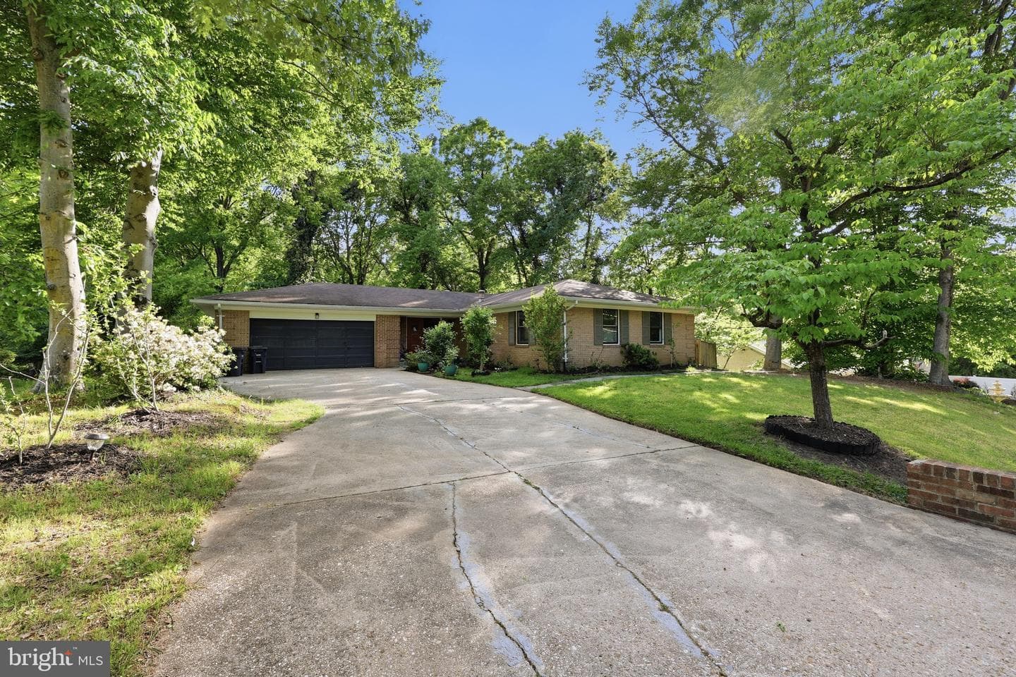 511 Holly Road photo 4