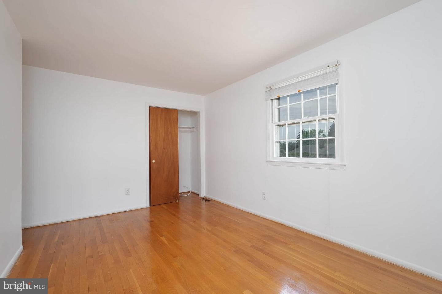4 Thurston Drive photo 19