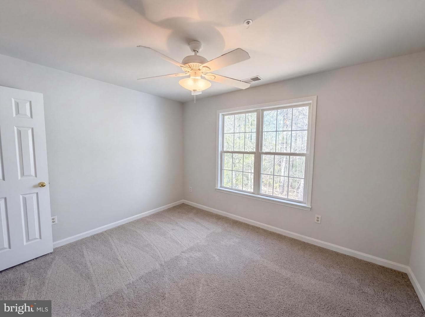 12608 Quarterhorse Drive photo 14