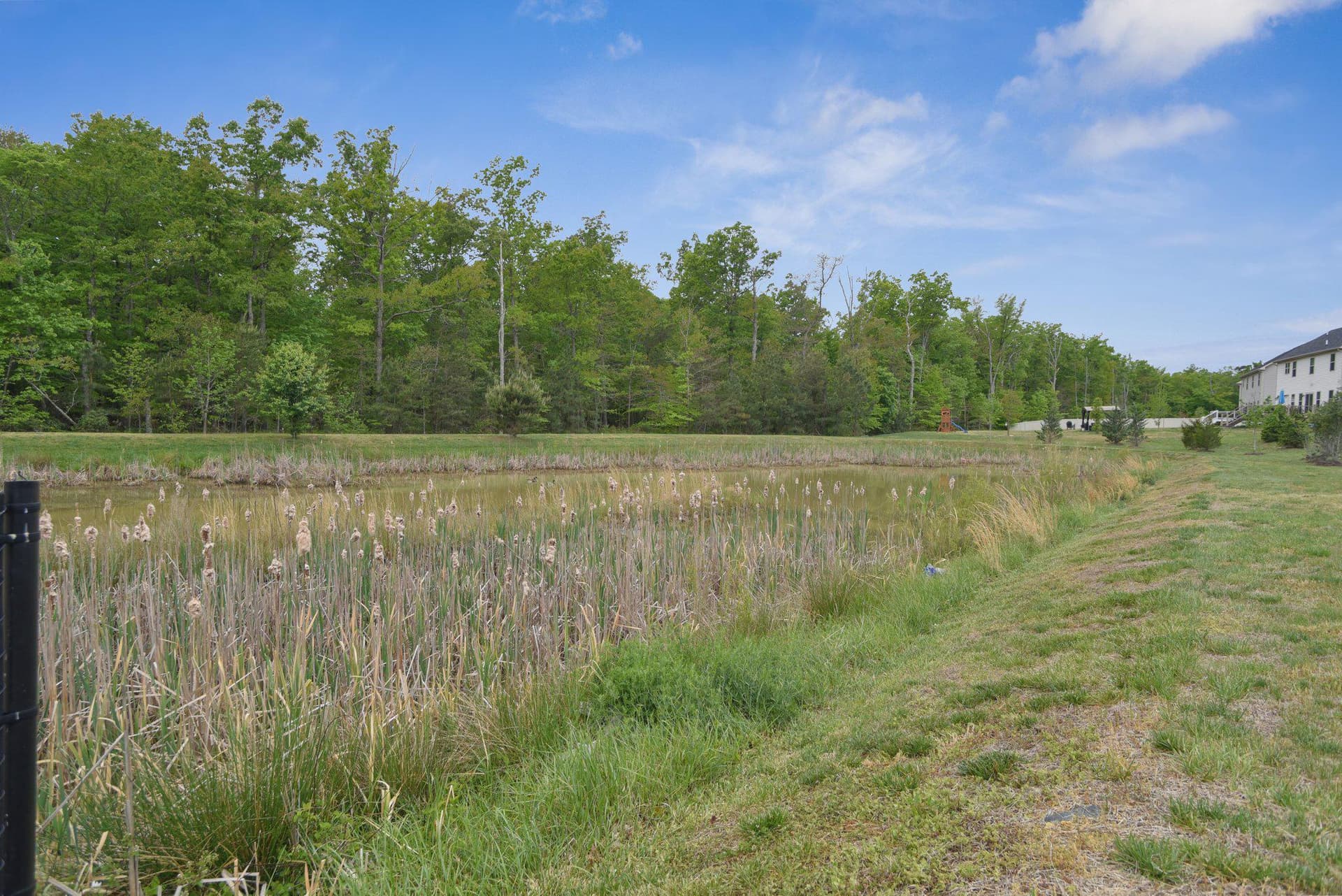 3917 Emory Ridge Road photo 59