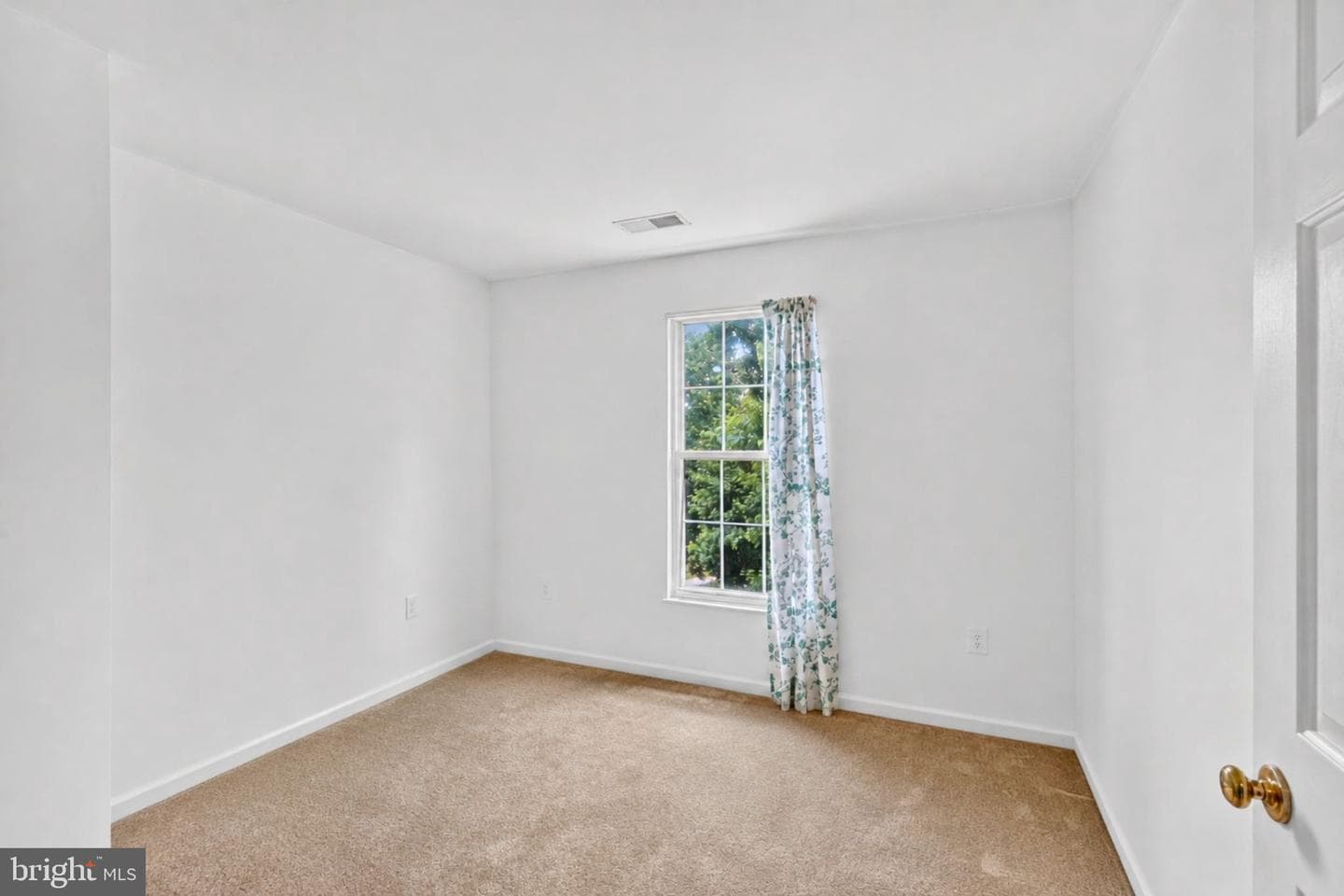 7318 Rotunda Court photo 22