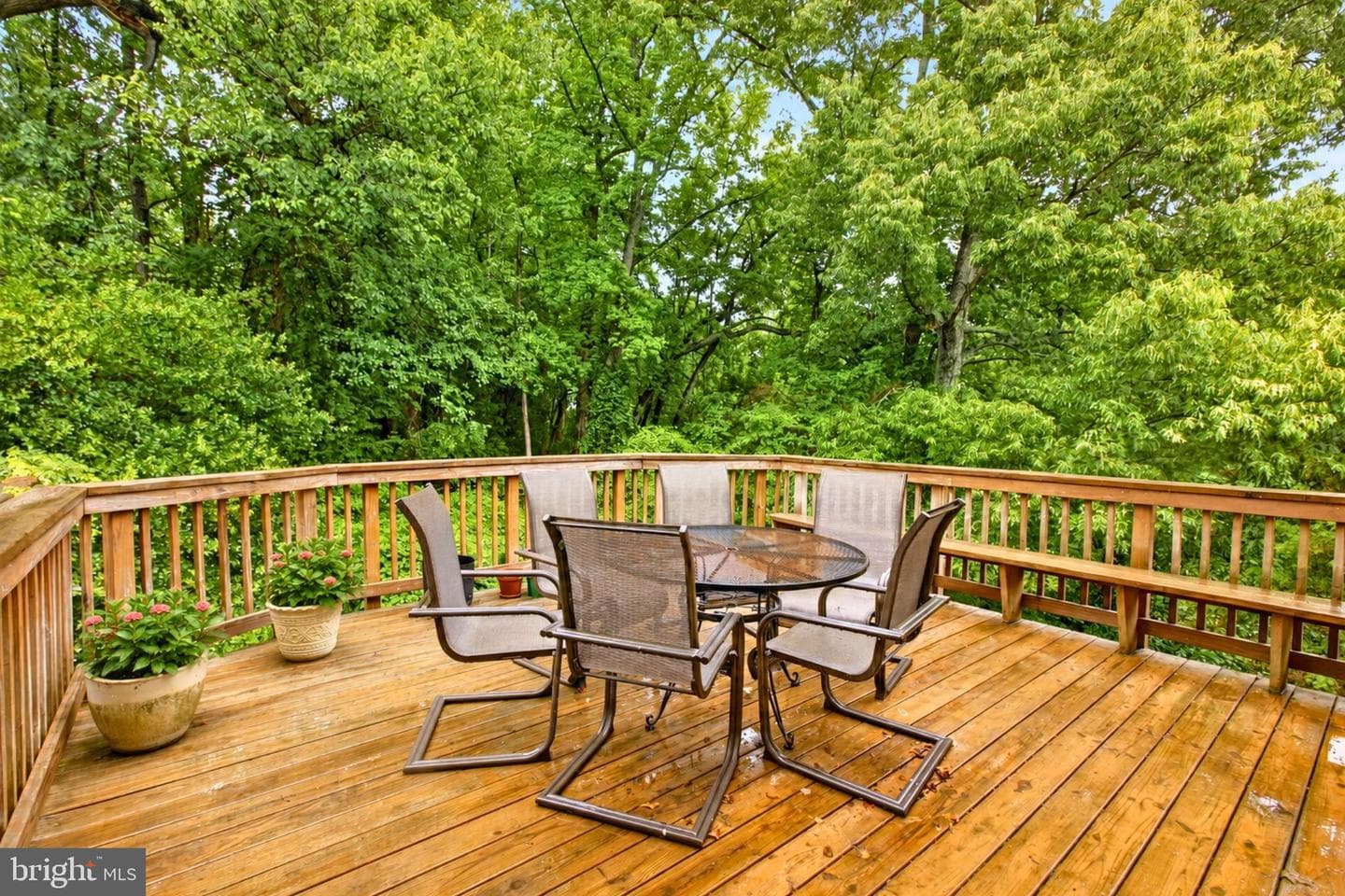 7318 Rotunda Court photo 31