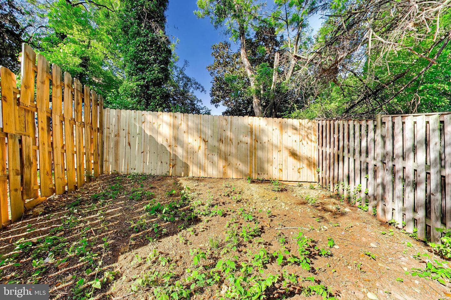 5509 K Street photo 34