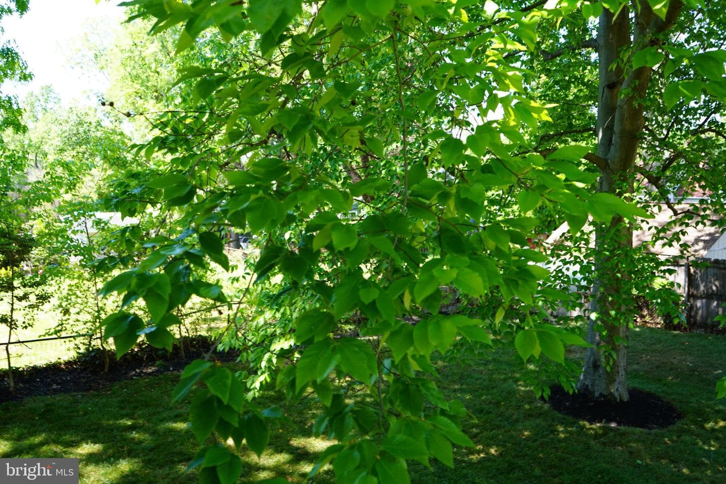 111 Mohican Drive photo 23