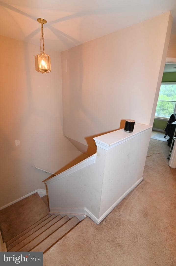 7619 Covent Gardens Court photo 22