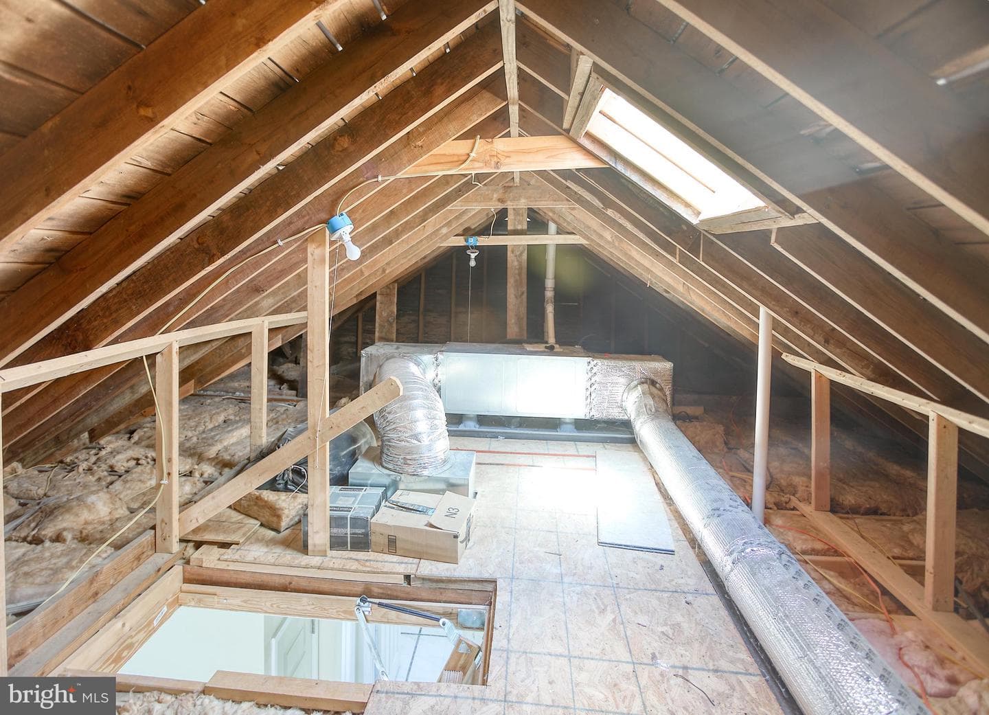 507 Dateleaf Avenue photo 19
