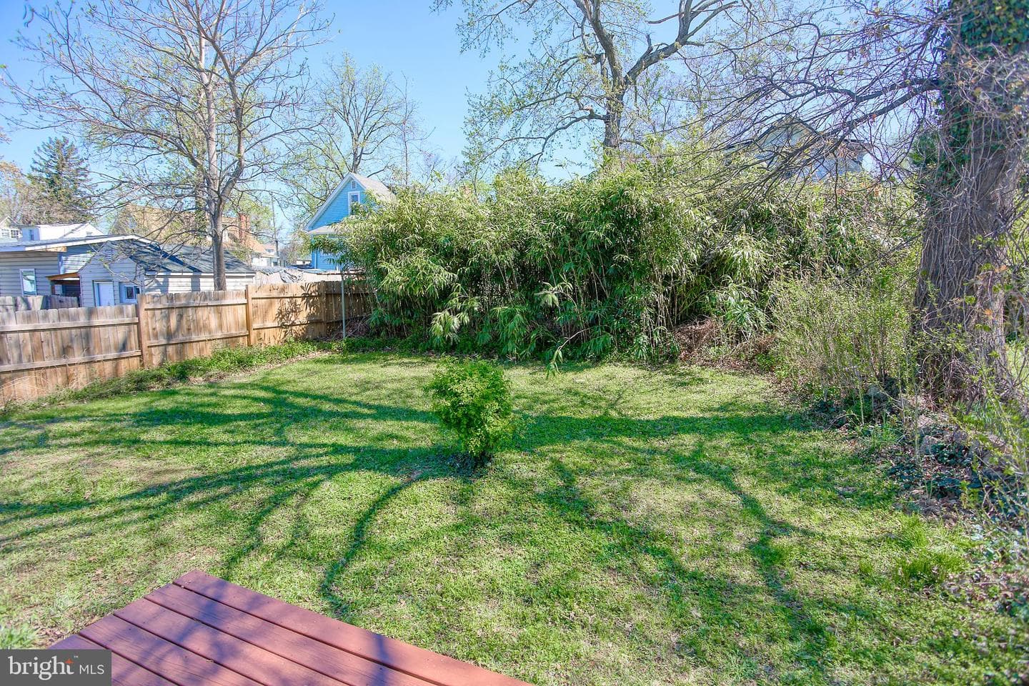 507 Dateleaf Avenue photo 20