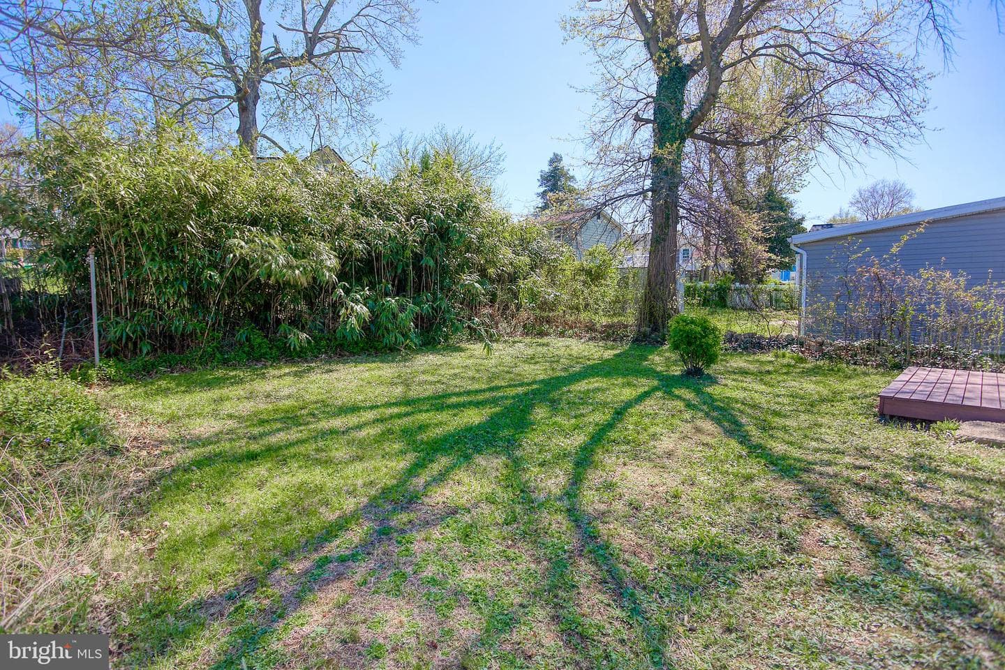 507 Dateleaf Avenue photo 21