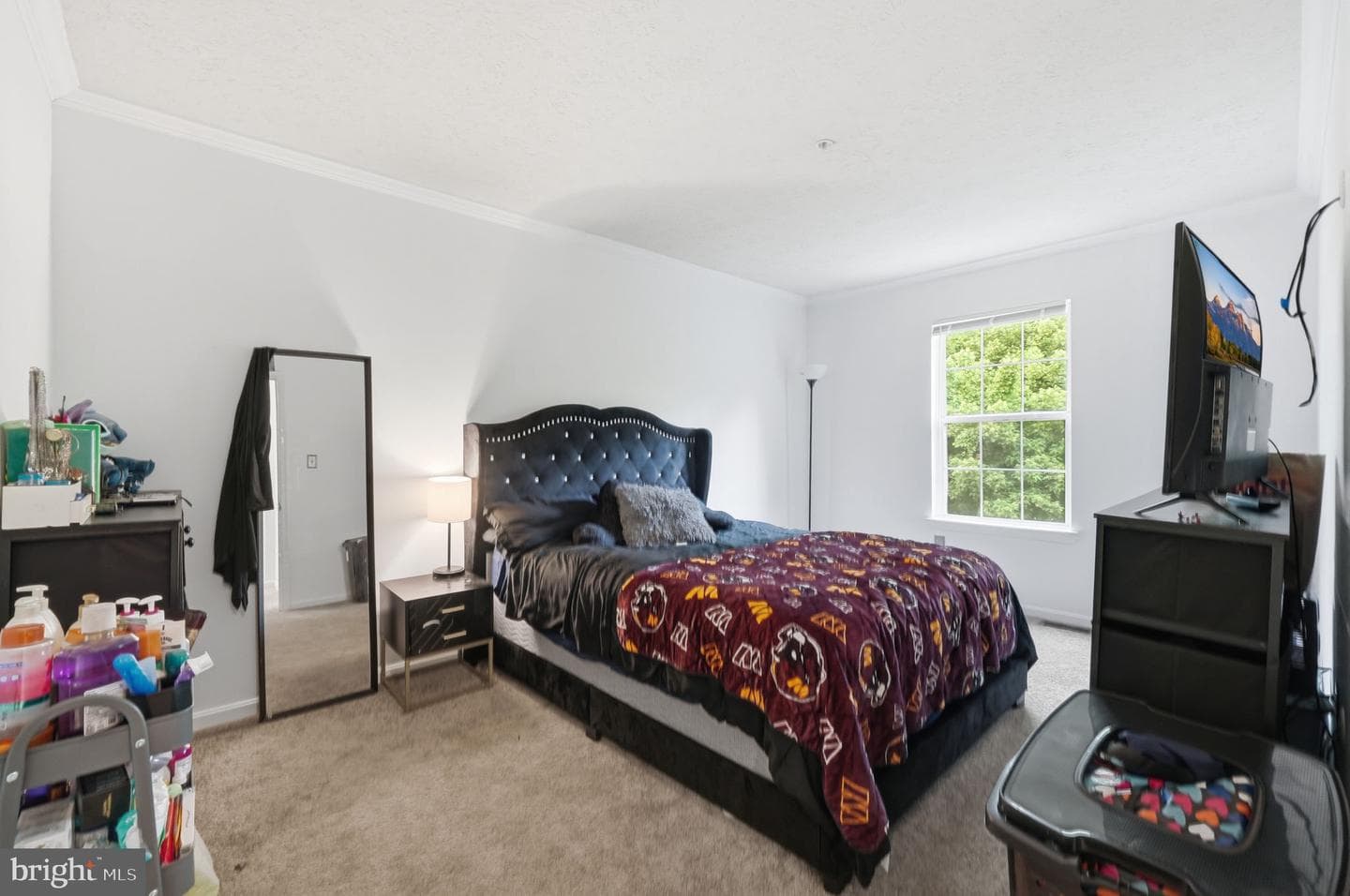 2303 Seton Way photo 21