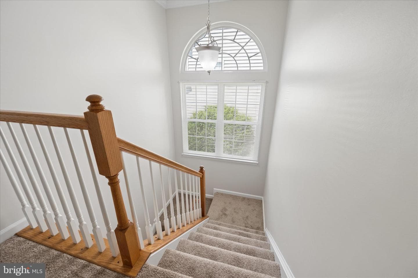 14002 Mary Bowie Parkway photo 38