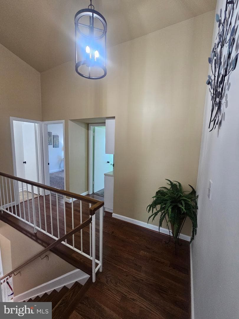 14505 Cambridge Circle photo 15