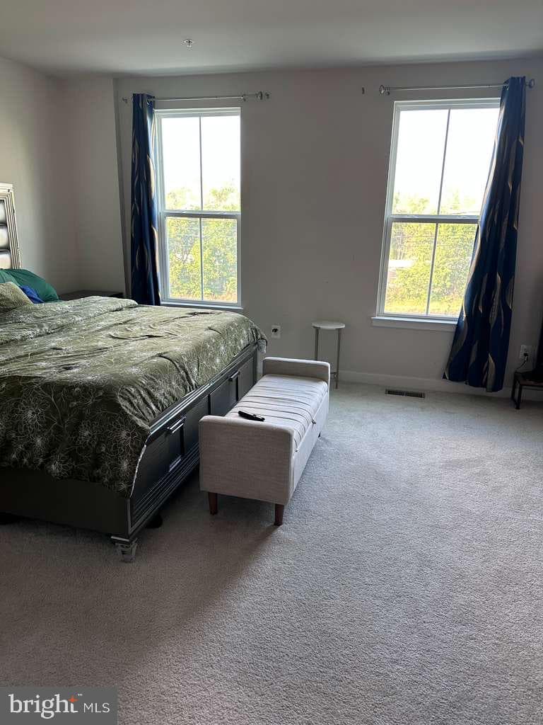 130 Matisse Place photo 8