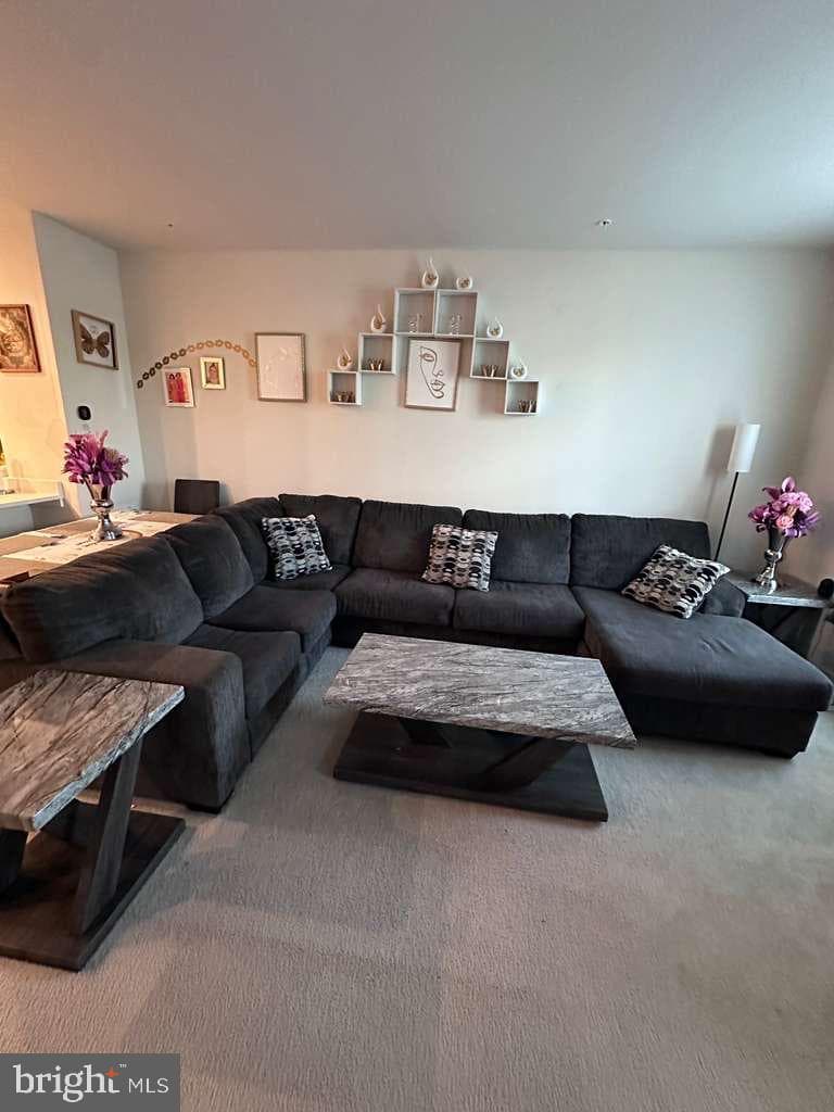 130 Matisse Place photo 9