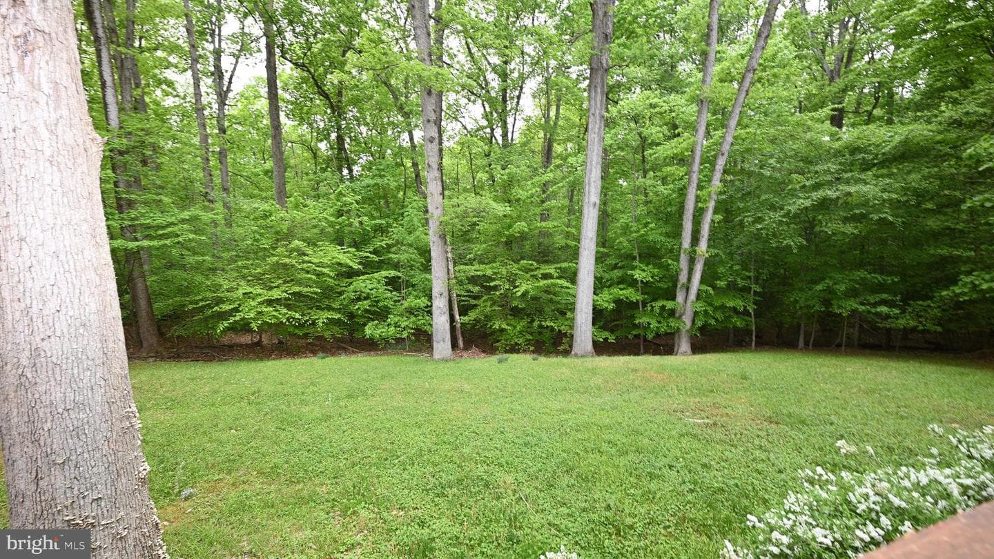 14116 Duckett Road photo 24