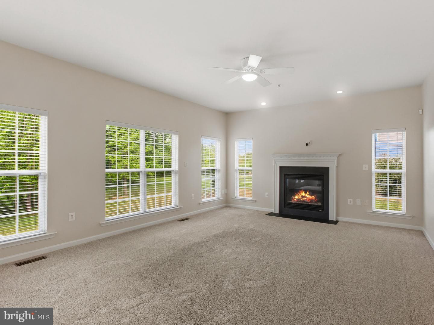 13203 Arya Dr photo 13