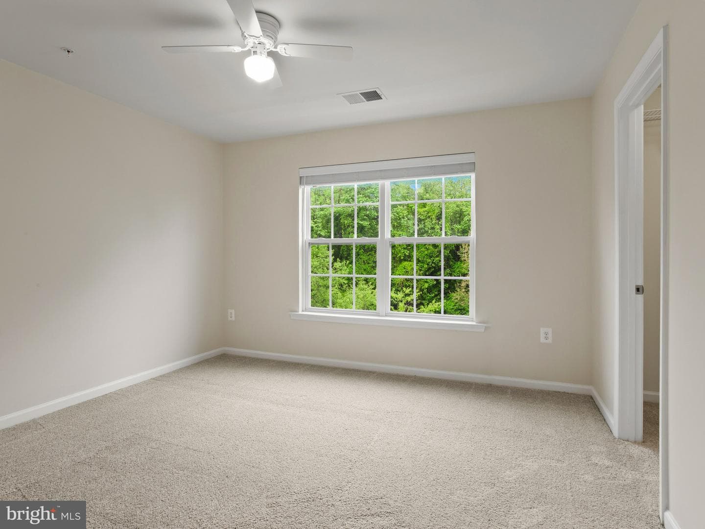 13203 Arya Dr photo 15