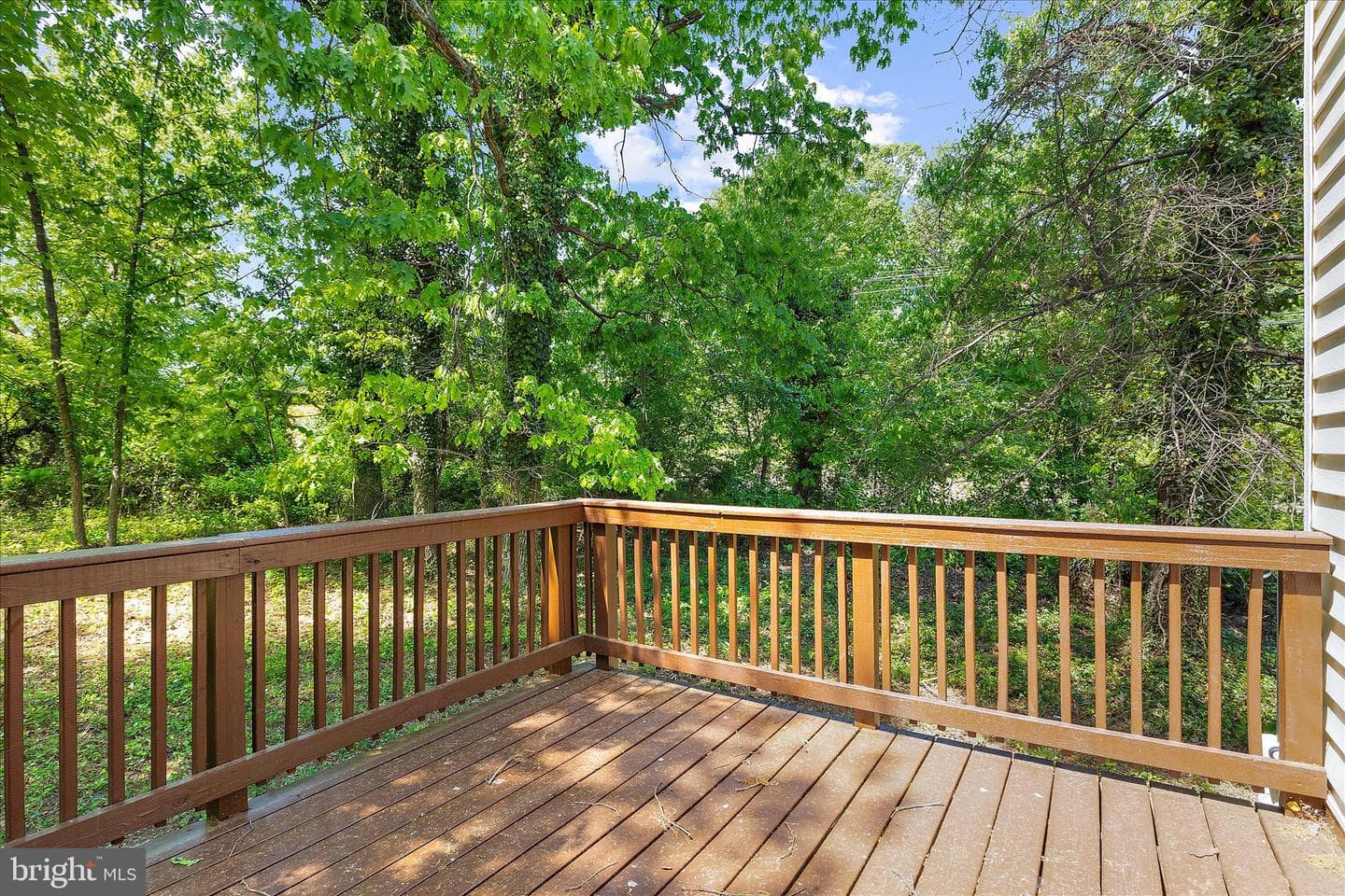 5301 Frazier Terrace photo 28