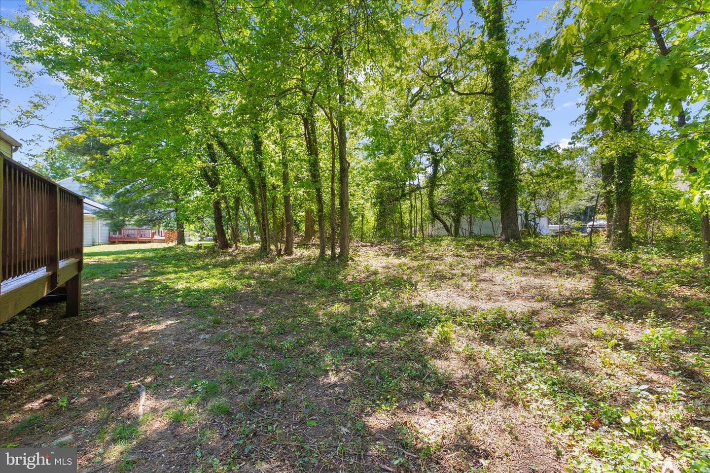 5301 Frazier Terrace photo 62