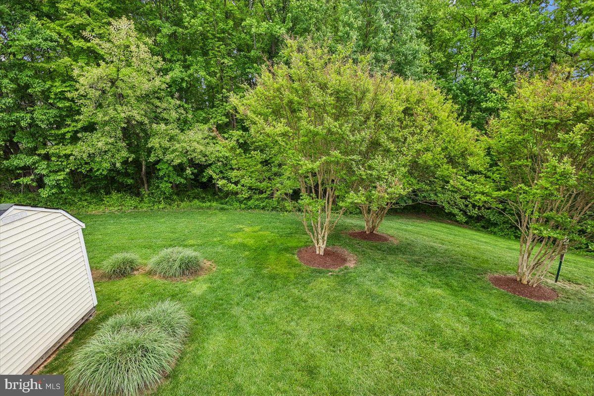 11903 Bracken Court photo 61