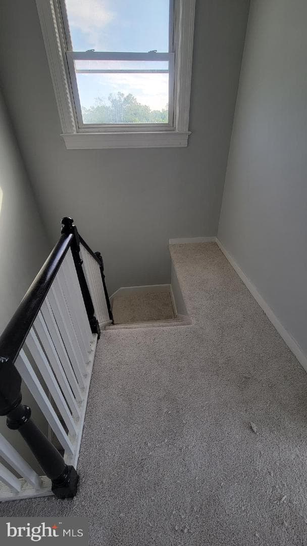 4324 Will Street photo 4